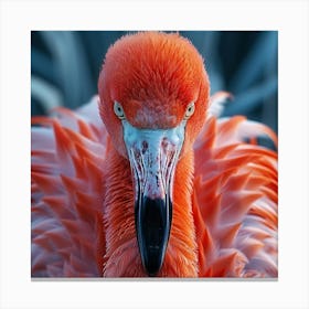 Flamingo 49 Canvas Print