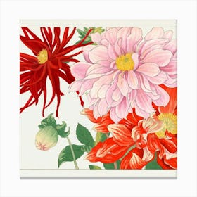 Dahlias 1 Canvas Print