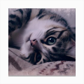 Cat Portrait Canvas Print