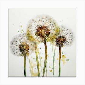 Dandelion 1 Canvas Print