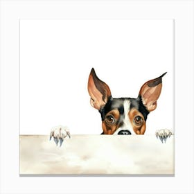 Chihuahua 26 Canvas Print