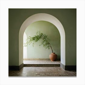 Archway With A Tree Canvas Print