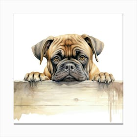 Boxer Dog 18 Canvas Print