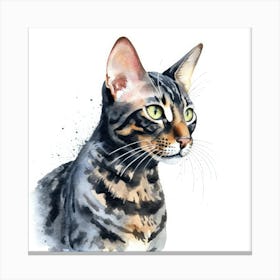 Black Bengal Cat Portrait Canvas Print
