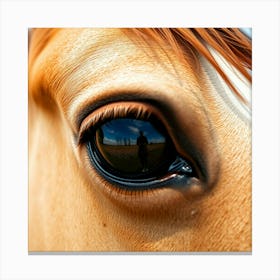 Horse Eye Reflection Canvas Print