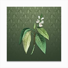 Vintage Malabar Nut Botanical on Lunar Green Pattern n.2397 Canvas Print