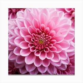 Pink Dahlia Flower 1 Canvas Print