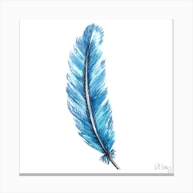 Blue Feather Canvas Print