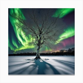 Aurora Borealis 1 Canvas Print