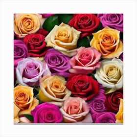 Colorful Roses 4 Canvas Print