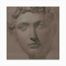 Bust Of Aphrodite Canvas Print