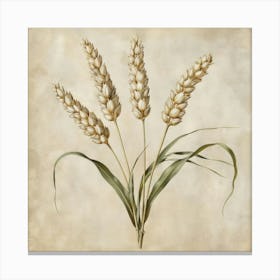 2024 May Poster Wheat Canvas Print