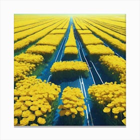 Field Of Yellow Flowers 36 Canvas Print