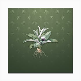 Vintage Kaempferia Angustifolia Botanical on Lunar Green Pattern n.0851 Canvas Print