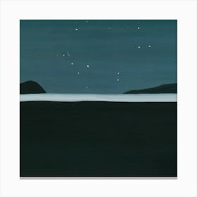 Night Sky Canvas Print