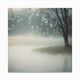 Bubbles in the fog  Canvas Print