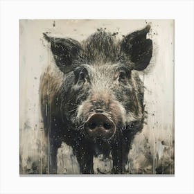 'The Pig' Canvas Print