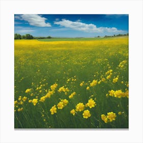 Yellow Flowers In A Field 21 Canvas Print