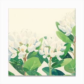 Editorial Art White Background Trifolium 3 Canvas Print