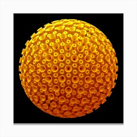 Spicky Virus Particle Type 4 Canvas Print