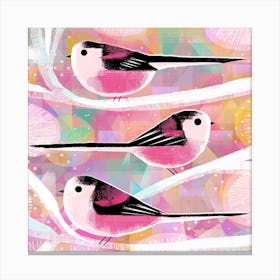 Long Tailed Tits Square Canvas Print