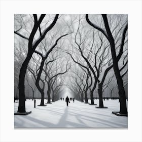 Central Park In The Snow Canvas Print