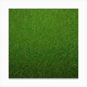 Green Grass 56 Canvas Print