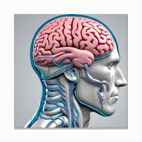 3d Render Of A Medical Image Of A Male Figure With Brain Highlighted (2) 1 Canvas Print