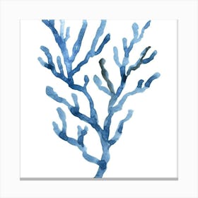 Blue Coral 1 Canvas Print