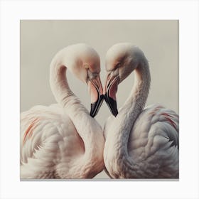 Flamingos In Love 3 Canvas Print