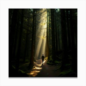 Rays Of Light In The Forest Canvas Print