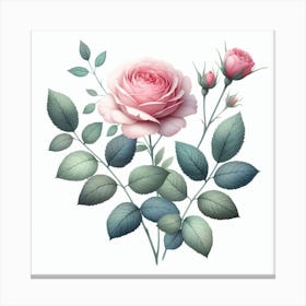 Pink Rose Canvas Print