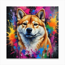 Shiba Inu 60 Canvas Print