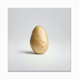 Potato Canvas Print