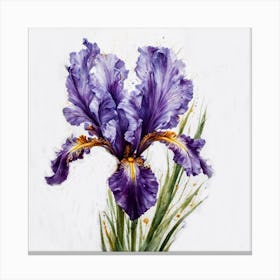 Iris 1 1 Canvas Print