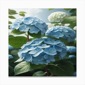 Hydrangeas 1 Canvas Print