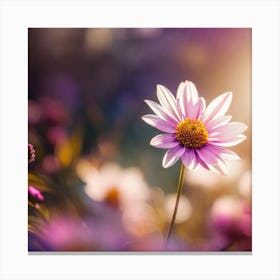 Daisy Flower 2 Canvas Print