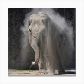 Elephant Canvas Print