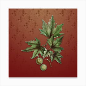 Vintage Old World Sycamore Botanical on Falu Red Pattern Canvas Print