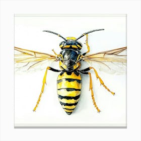 Wasp Art Canvas Print