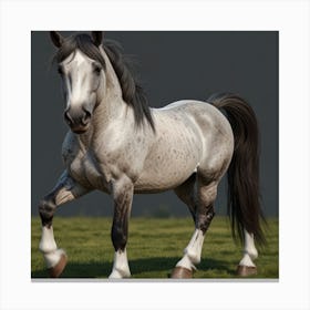 Horse In The Grass Canvas Print