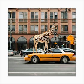 Giraffe On Taxi Canvas Print