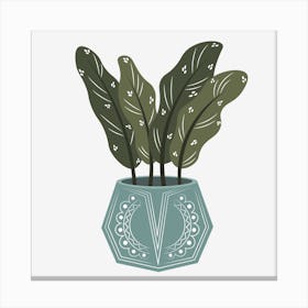 Indoor plant vase Canvas Print