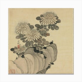 Chrysanthemums Canvas Print