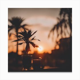 Sunset With Palm Tree Canvas Print