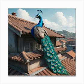 Peacock On Roof 2 Canvas Print