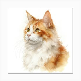 Honeybear Cat Portrait 2 Canvas Print