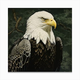 Ohara Koson Inspired Bird Painting Bald Eagle 4 Square Canvas Print