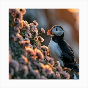 Puffin Canvas Print