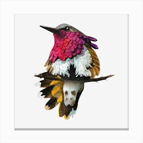 Hummingbird 4 Canvas Print